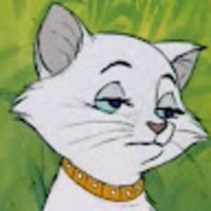 Meet your Posher, Natalia